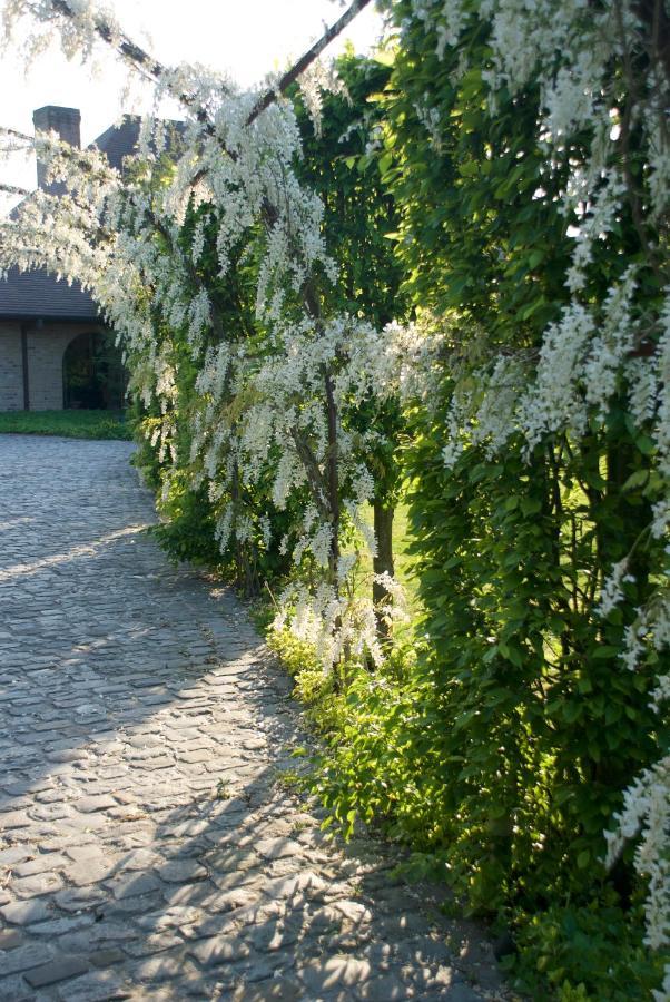 Villami Anzegem Экстерьер фото